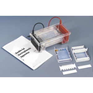 Double Gel Electrophoresis Apparatus